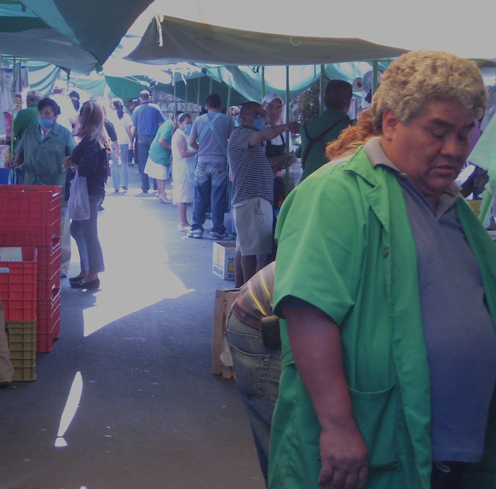 swine_tiangues swine_tiangues